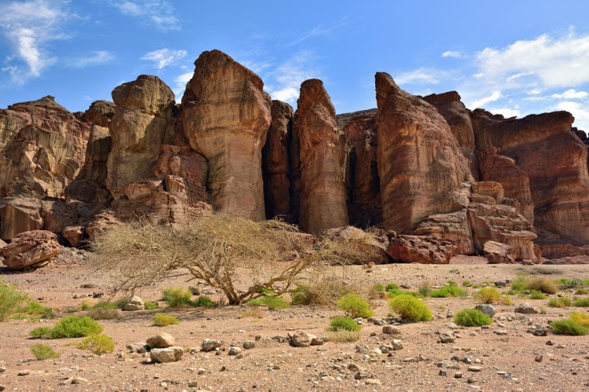 shutterstock_268227944